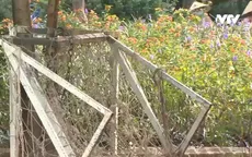 Hà Nội: Đẩy nhanh tiến độ các dự án xây dựng công viên