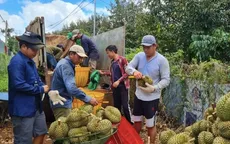 Doanh nghiệp Việt tìm cách chinh phục thị trường Trung Quốc