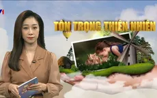 Đối xử nhân ái với thiên nhiên để nuôi dưỡng tâm hồn