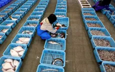 Trung Quốc cấm nhập khẩu thực phẩm từ Nhật Bản