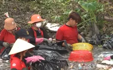 Những bạn trẻ đội nắng làm sạch môi trường