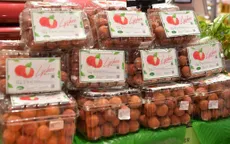 Vải thiều Bắc Giang được xuất khẩu chính ngạch sang Thái Lan