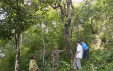Cuộc sống ấm no nhờ bảo vệ rừng đầu nguồn