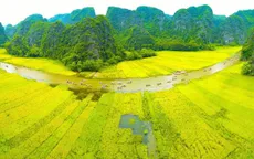 Khu du lịch Tam Cốc - Bích Động tạm dừng đón khách