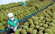 Xuất khẩu rau quả có thể đạt trên 5 tỷ USD