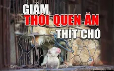 Chó là bạn hay là thức ăn, cuộc tranh cãi vẫn chưa có hồi kết