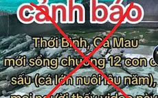 Cà Mau: Thông tin "12 con cá sấu xổng chuồng" là sai sự thật