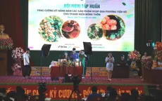 Sơn La khai thác tiềm năng kinh tế số trong xúc tiến quảng bá sản phẩm OCOP