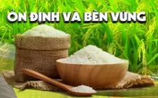 Giá gạo toàn cầu sẽ được quyết định bởi tác động của El Nino