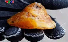 Bí mật của những viên ‘đá mặt trời’