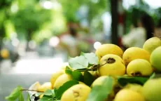 Tận hưởng tiết trời Thu Hà Nội