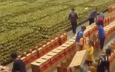 Xuất khẩu trái cây của Thái Lan sang Trung Quốc tăng mạnh