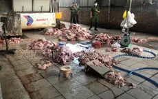 Biên Hòa: ngăn chặn kịp thời “thực phẩm bẩn” chuẩn bị tiêu thụ ra thị trường