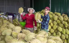 Việt Nam có thể đạt 10 tỷ USD kim ngạch xuất khẩu rau quả
