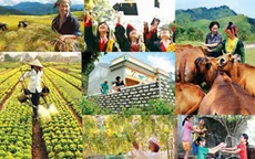 Phấn đấu giải ngân các chương trình mục tiêu quốc gia đạt ít nhất 90% vốn năm 2023