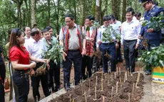 Thủ tướng: Đẩy mạnh liên kết, phát huy vai trò người dân trong sản xuất, chế biến sâm Ngọc Linh