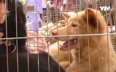 Thịt chó đã bị cấm tại nhiều nước trên thế giới