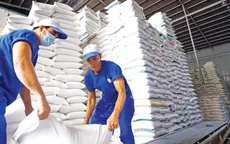 Giá gạo có thể tiếp tục tăng