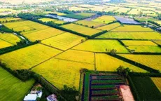 Thành lập 2 Hội đồng điều phối vùng