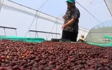 Sản lượng cà phê Indonesia sụt giảm nghiêm trọng bởi El Nino