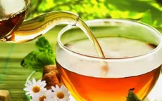 Nước nhân trần có tác dụng gì?
