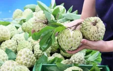 Xúc tiến tiêu thụ nông sản vùng miền tại Thủ đô