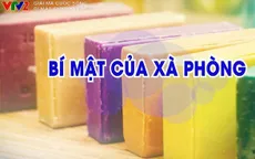 "Giải mã cuộc sống": Xà phòng và những bí mật xung quanh