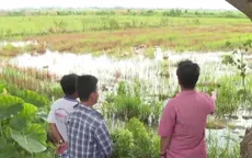 Nông dân thả đồng đón nước