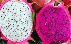 Nên ăn thanh long trắng hay thanh long đỏ?