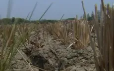 Indonesia dành hơn 500 triệu USD ứng phó El Nino