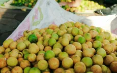 Đặc sản Hà Nội ngày cuối mùa, người dân tranh nhau mua