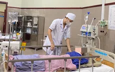 Cảnh báo gia tăng bệnh nhân nhập viện do ngã khi trèo hái hồi