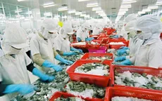 Nhật Bản là nhà nhập khẩu thủy sản số 1 của Việt Nam quý II/2023