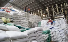 Giá gạo Việt xuất khẩu tăng cao kỷ lục