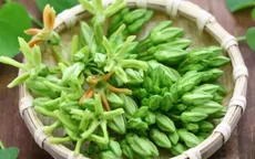 Hoa thiên lý có tác dụng như thế nào đối với sức khỏe?