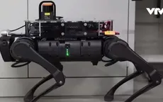 'Robot chó' dẫn đường cho người khiếm thị