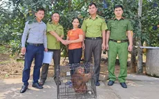 Người phụ nữ mua khỉ mặt đỏ quý hiếm để thả về rừng tự nhiên