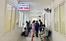 Cảnh báo nguy hiểm khi bị ong đốt