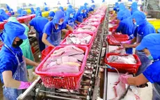 Thủy sản lấy lại đà cân bằng để đẩy mạnh xuất khẩu