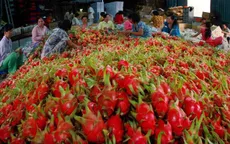 Đẩy mạnh xuất khẩu rau quả cuối năm
