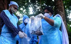Ấn Độ trong cuộc đua ngăn chặn dịch bệnh do virus Nipah gây thương tổn não