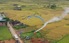 Yên Bái: Khai mạc Festival dù lượn "Bay trên mùa vàng" năm 2023