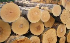 Có 837 loại gỗ đã nhập khẩu vào Việt Nam