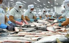 Cơ hội gia tăng kim ngạch xuất khẩu cá tra