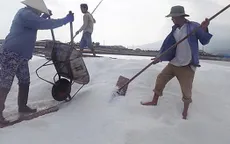 Mỗi năm Việt Nam nhập khẩu hàng tỷ USD tiền muối