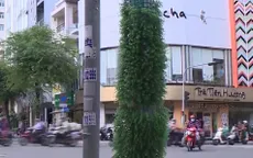 Quấn cỏ nhựa quanh cột điện chống dán quảng cáo
