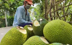 Kim ngạch xuất khẩu tăng tháng thứ 4 liên tiếp