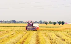 Xuất hiện tình trạng bảo kê máy gặt kiểu mới