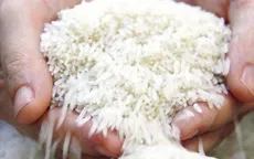 Philippines tìm giải pháp giảm giá gạo