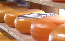 Gouda - một trong những loại pho mát lâu đời nhất thế giới